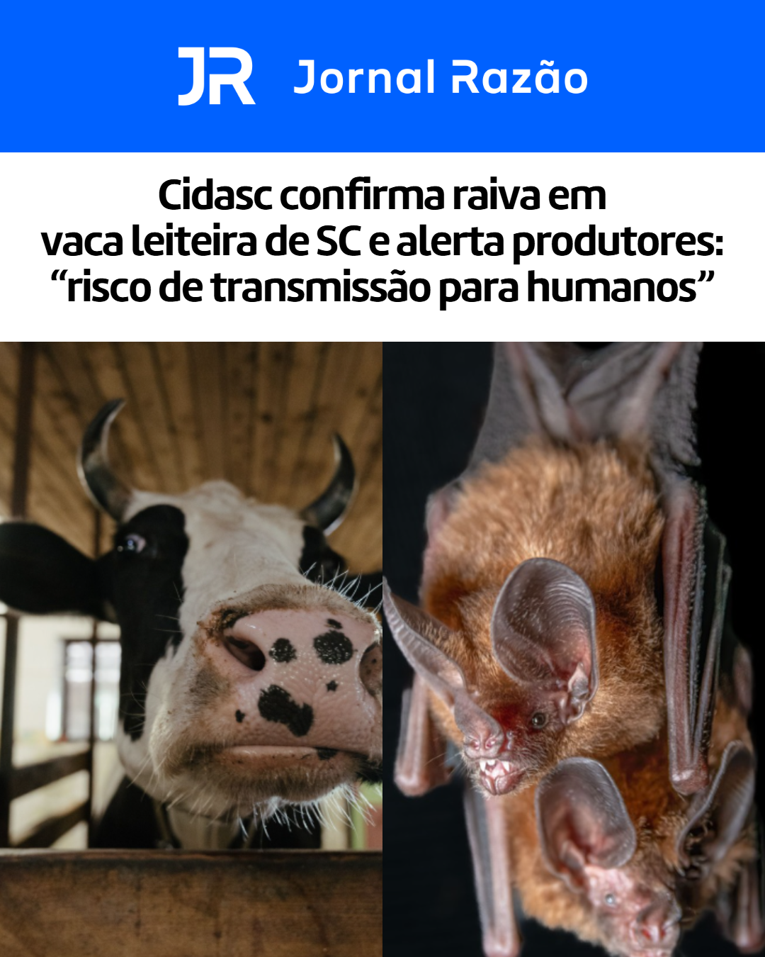 Foto teste 10