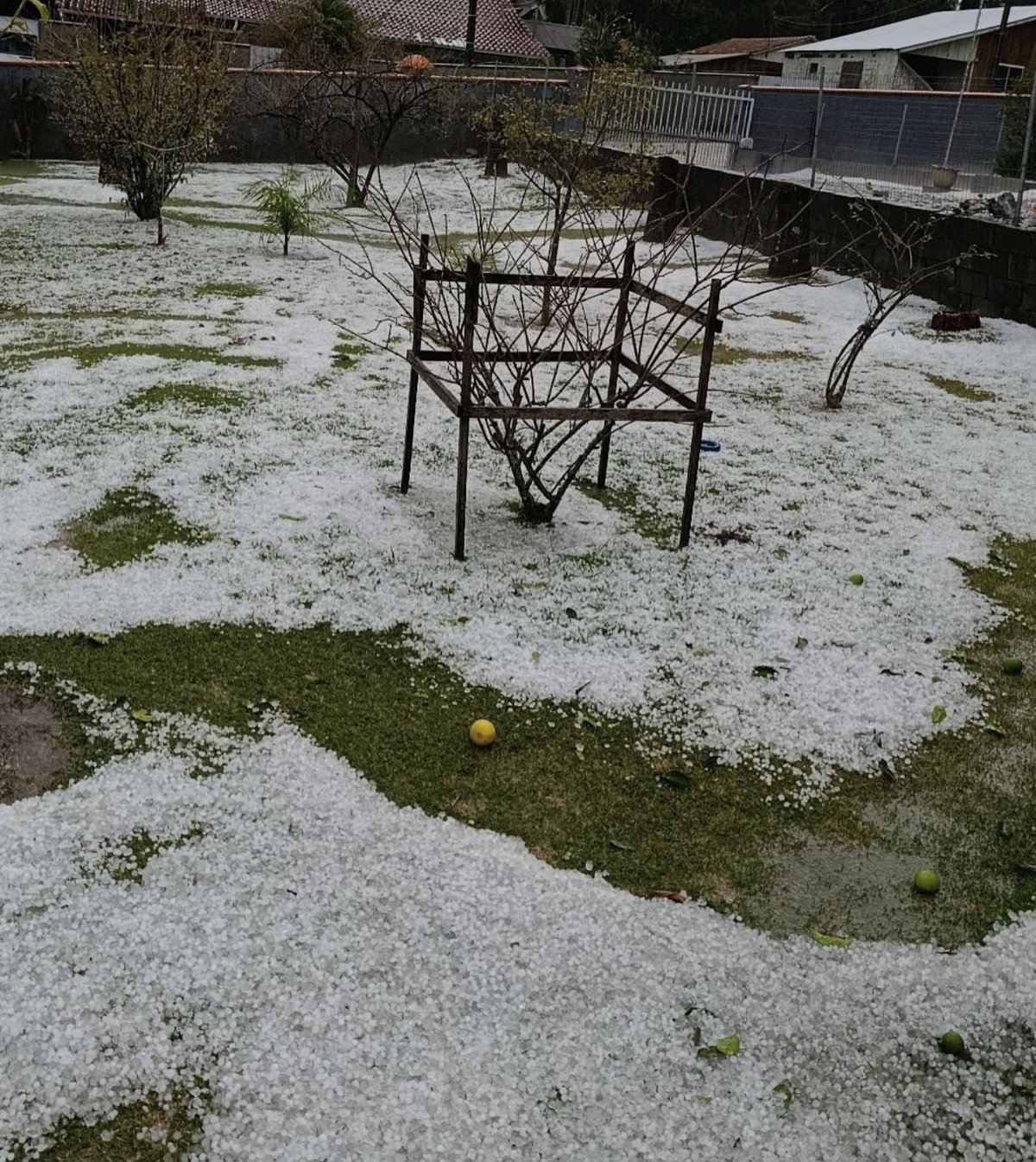 Jardim coberto por pedras de gelo em Agrolândia