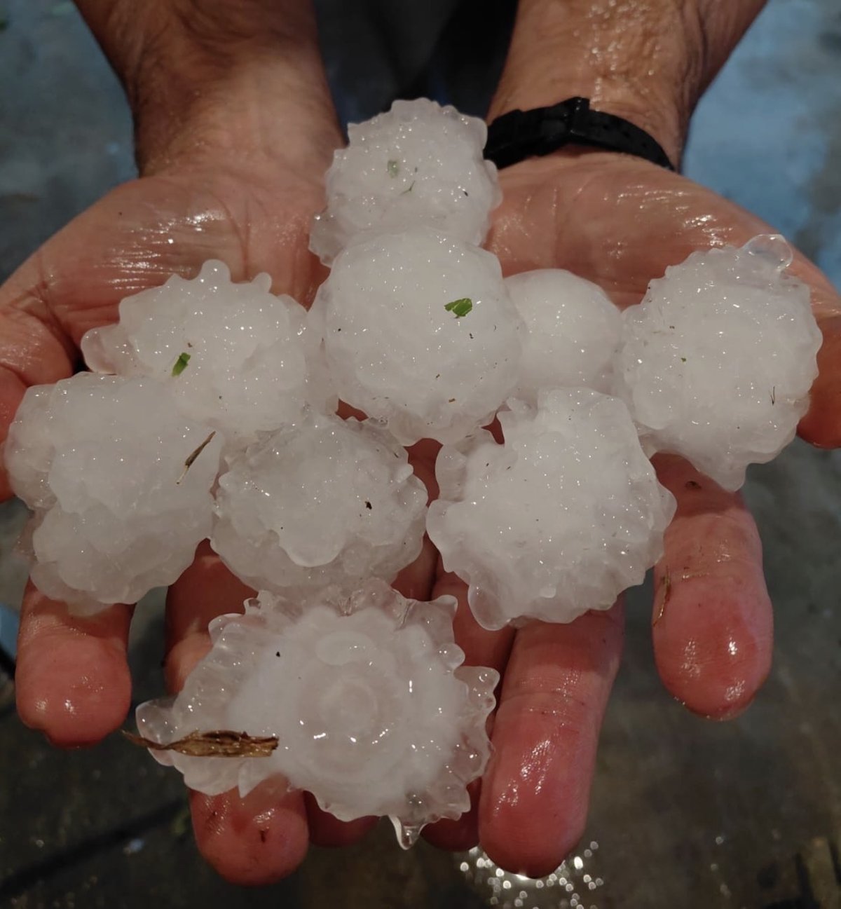 Granizo de grande tamanho atinge Guabiruba e região de Brusque