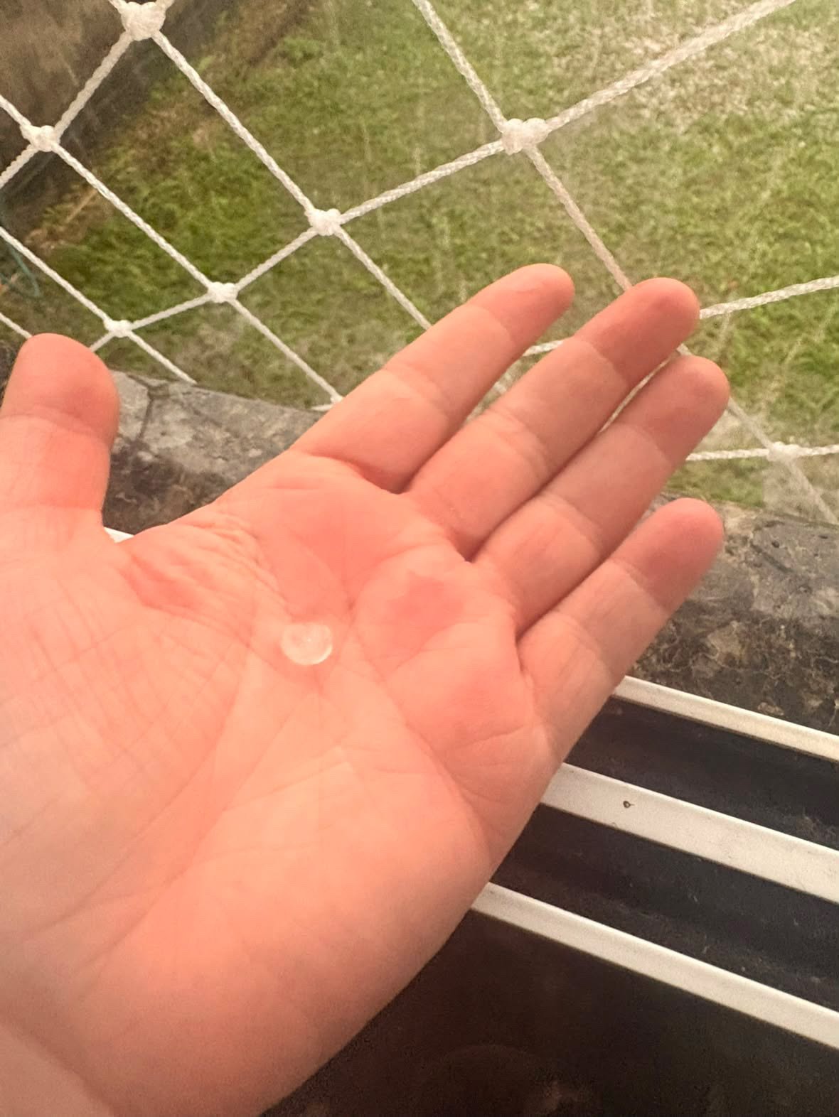 Morador de Indaial mostra pedra de granizo na palma da mão