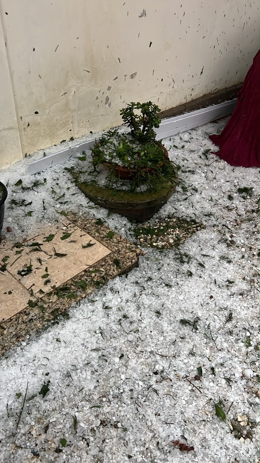 Granizo de grande tamanho atinge Guabiruba e região de Brusque