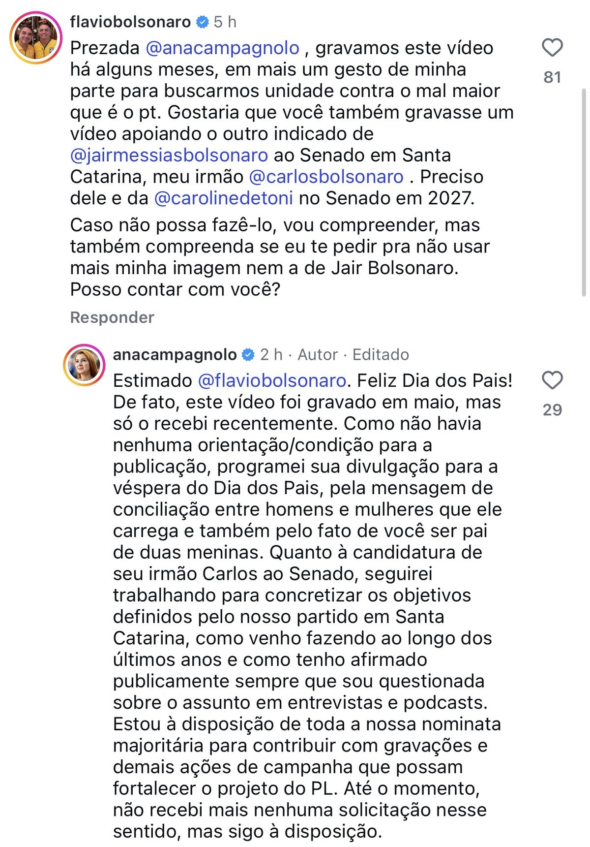 Comentários de Flávio Bolsonaro e Ana Campagnolo na publicação da deputada no Instagram
