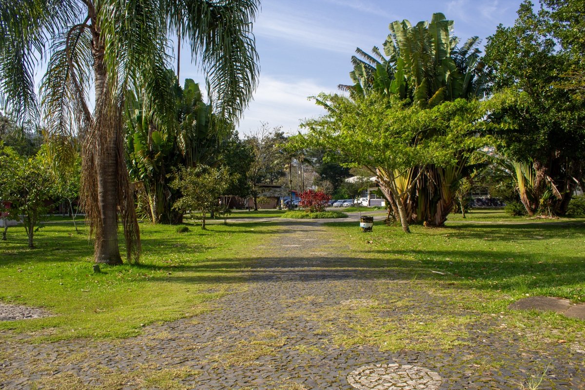 Foto 9 de 13