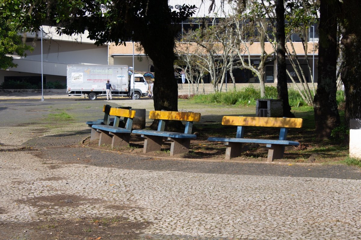 Foto 3 de 13