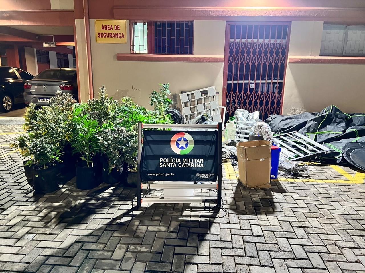 Homem é preso com drogas, quase R$ 55 mil e estufas de maconha em Lages