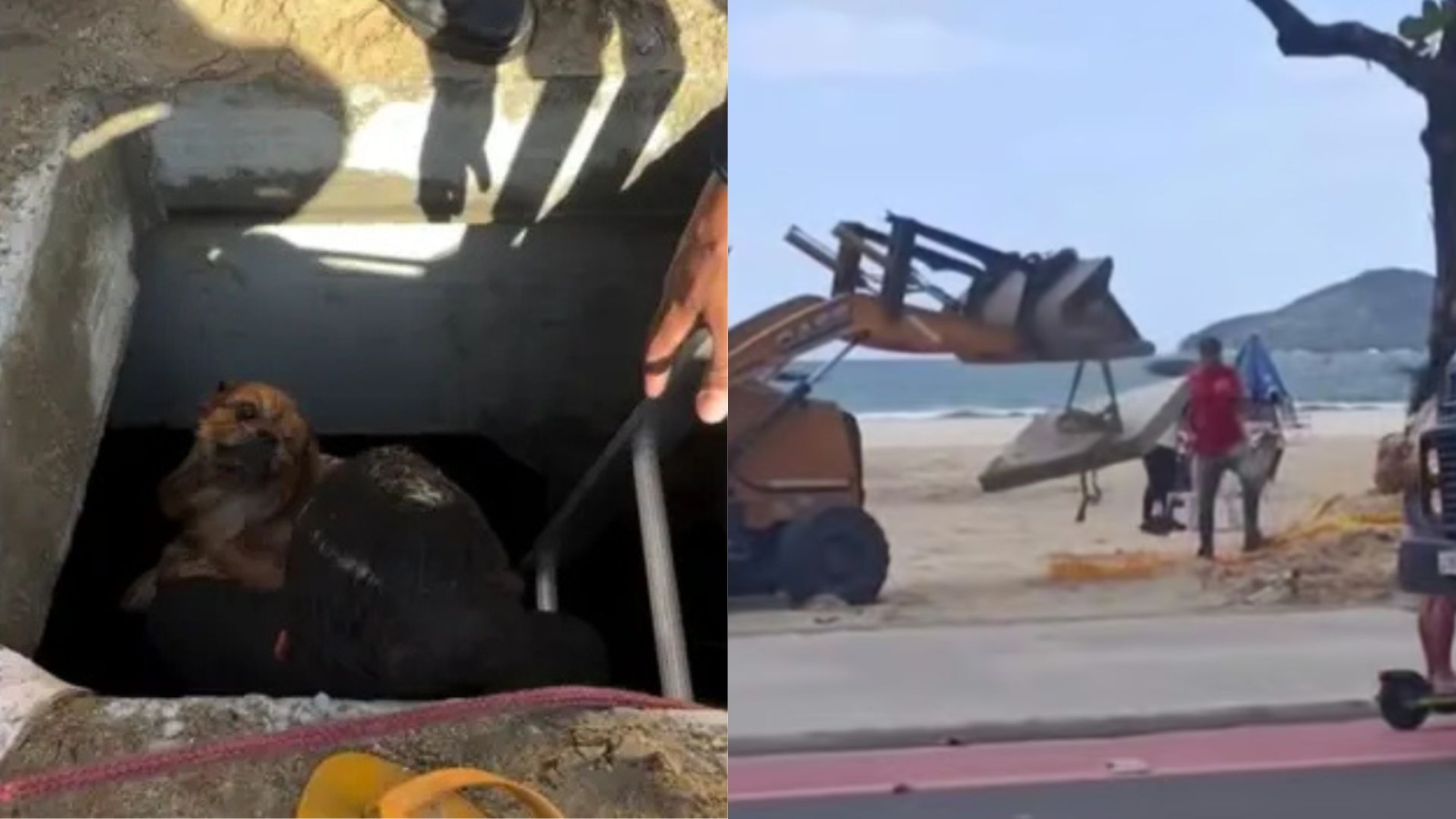 Após cão cair em galeria na Praia Central, Prefeitura de BC exige reforço na segurança e adota punição à empresa por atraso