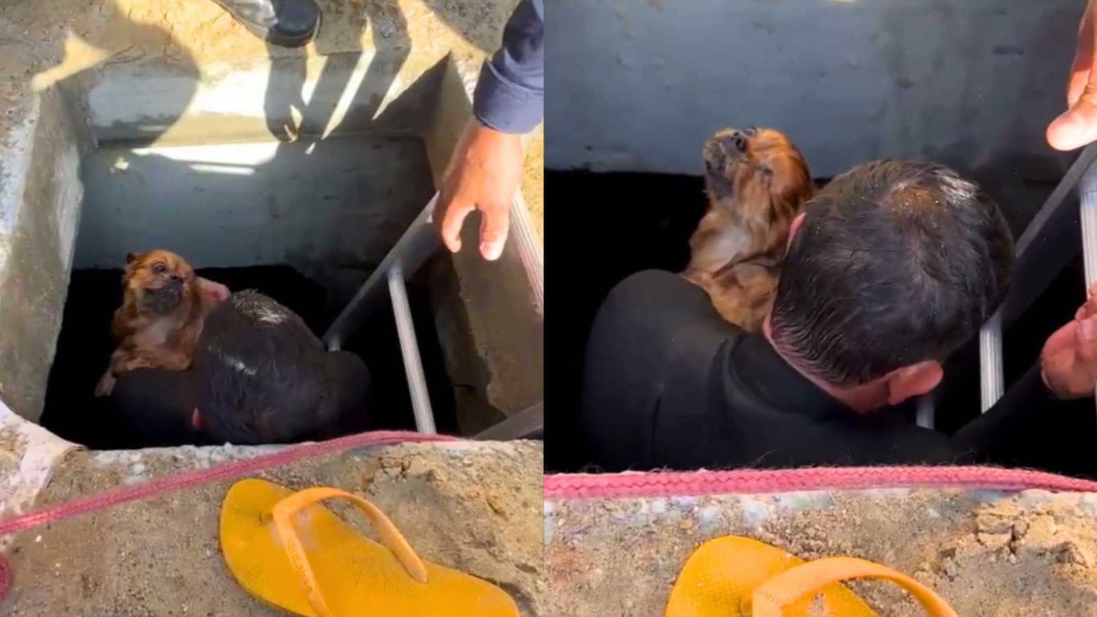 Morre cão Jean Pierre “engolido” por galeria de macrodrenagem na Praia Central em Balneário Camboriú - Foto