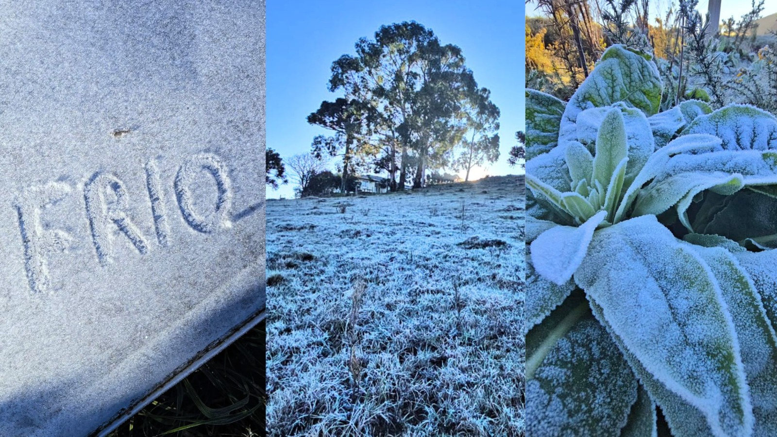 Geada em setembro: SC acorda “branquinha” com –4,5°C no Vale dos Caminhos da Neve
