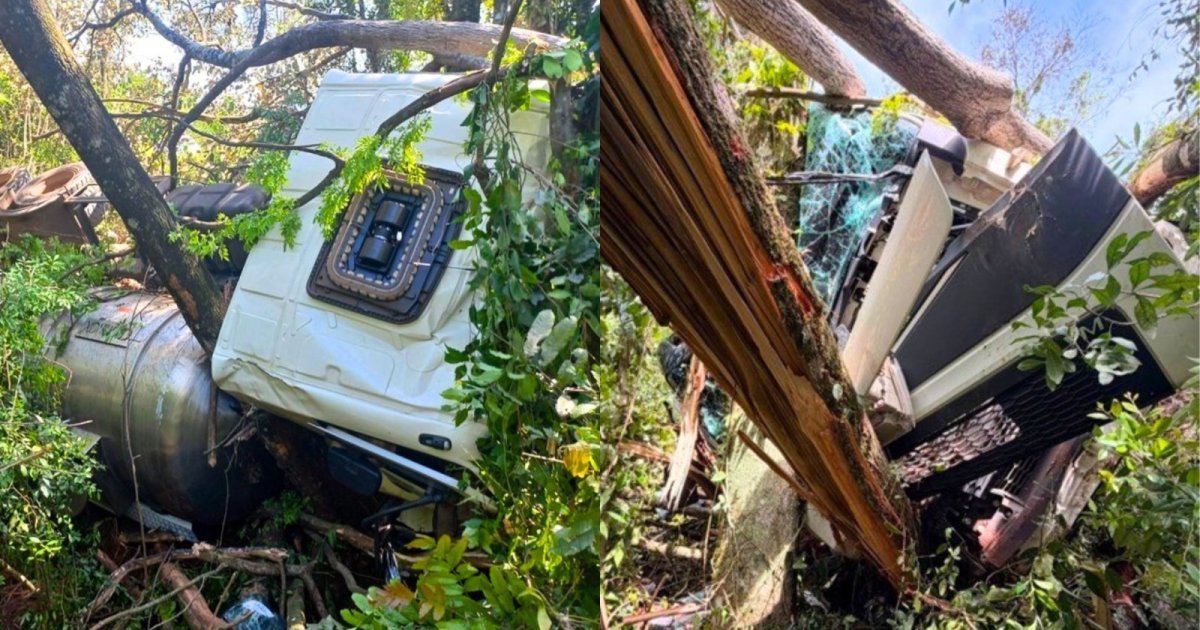 Motorista sobrevive após pane mecânica lançar caminhão em ribanceira e destruir cabine em SC