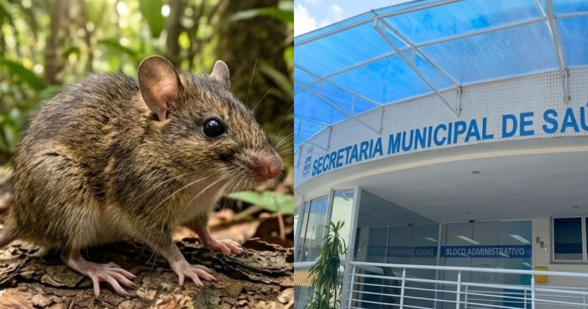 Exame confirma hantavirose em jovem que morreu dois dias após dar entrada em posto de saúde, em Itajaí