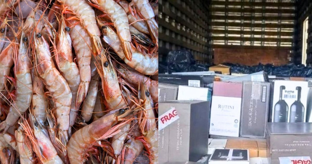 Não deu praia: caminhão carregado de camarão e garrafas de vinho “cai” na rede da polícia em SC