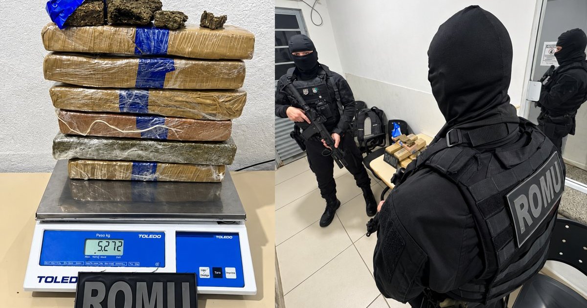 “Amigo da onça” corre da Guarda Municipal e larga comparsas para se explicarem sobre droga em SC