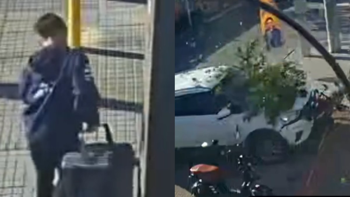 “A árvore salvou a criança”: carro invade calçada segundos após menino passar em Itajaí