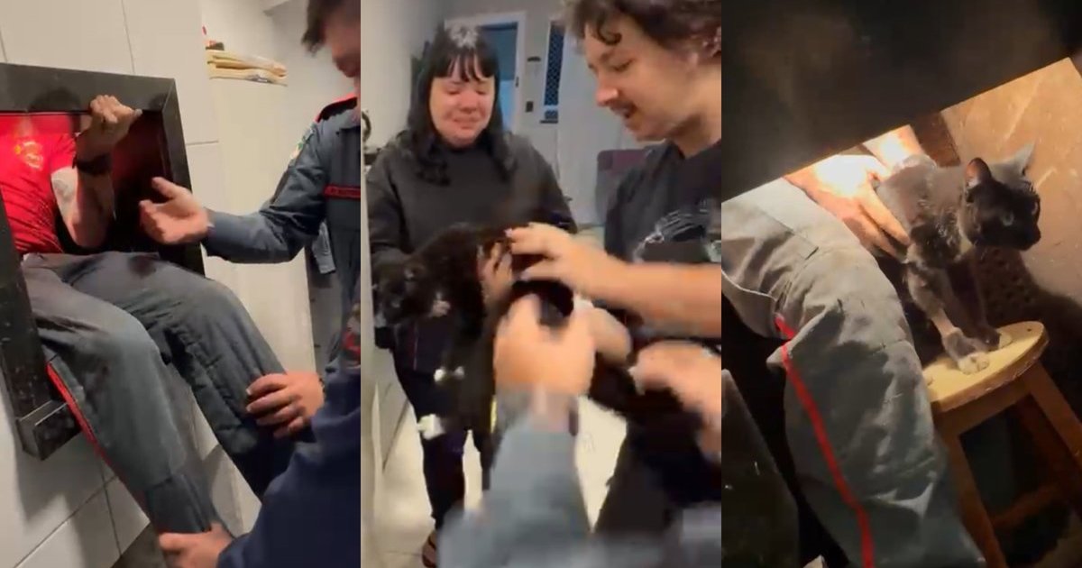 “Inusitado”: bombeiro se espreme dentro de churrasqueira e consegue resgatar gato preso em Camboriú