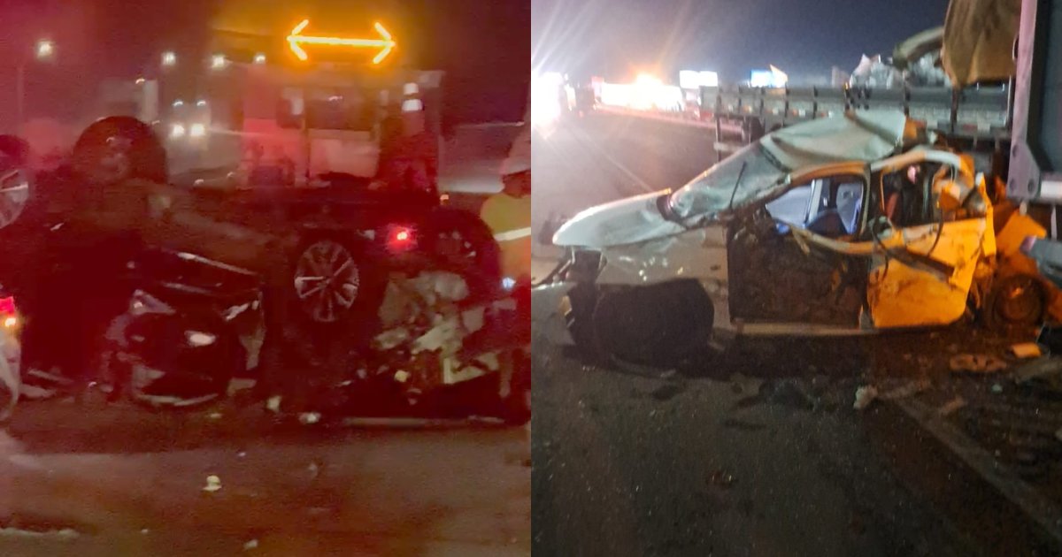 Cavalos soltos na BR-101 provocam sequência impressionante de acidentes em Tijucas