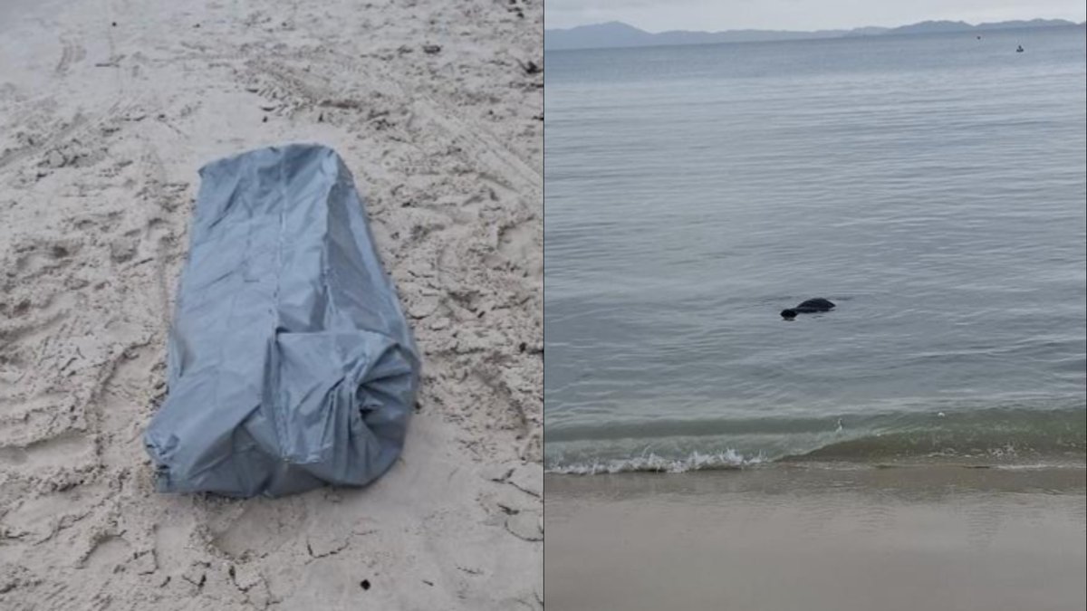 Corpo de homem é encontrado boiando ao lado do trapiche de Canasvieiras, em Florianópolis