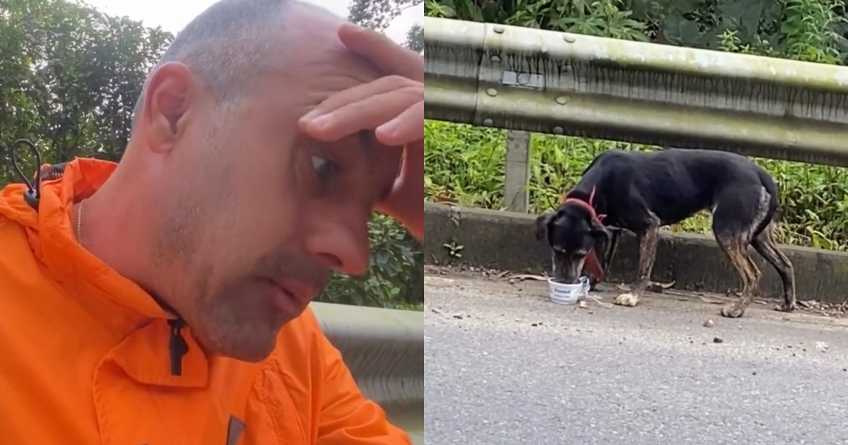 “Envergonhado do ser humano”: entregador encontra cachorro faminto largado em estrada deserta de SC