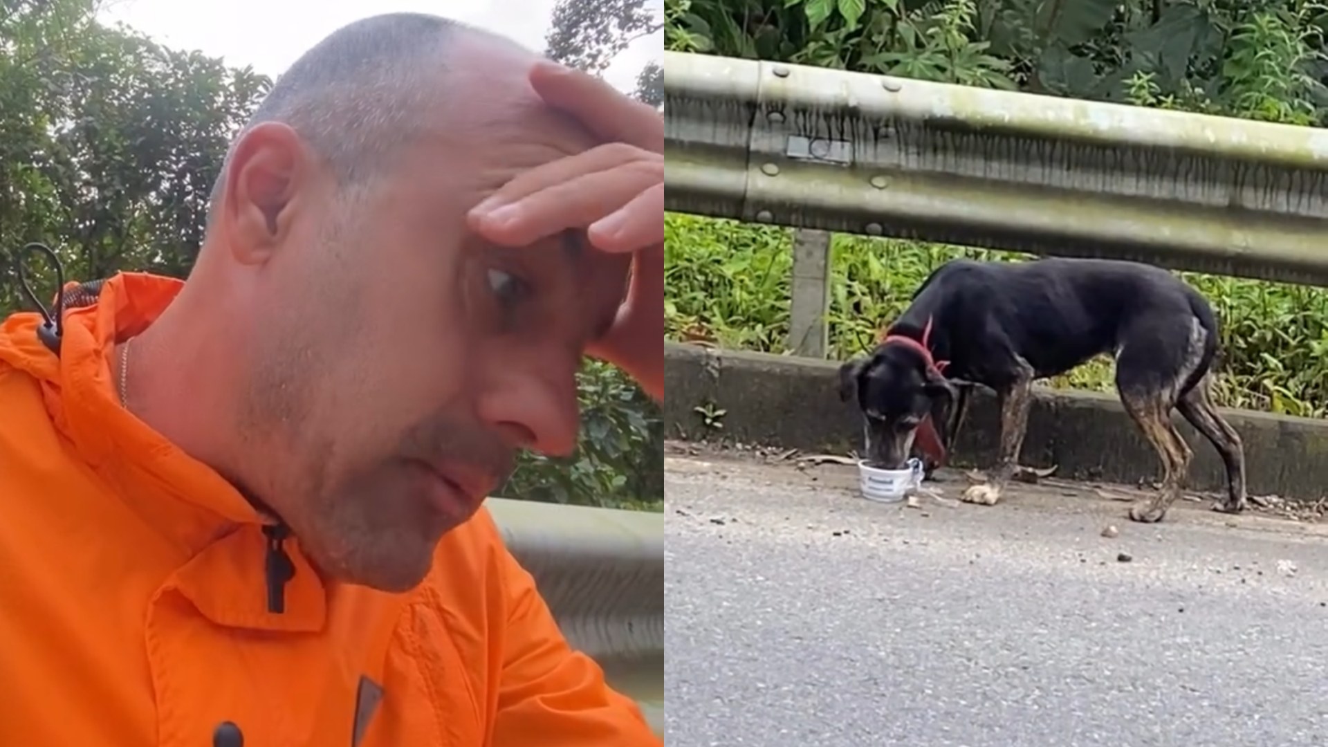 “Envergonhado do ser humano”: entregador encontra cachorro faminto largado em estrada deserta de SC