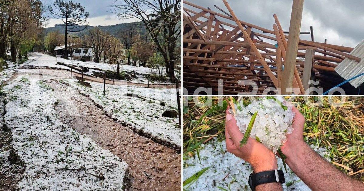 Granizo cobre o chão de branco e vento arranca árvores em três cidades do Oeste de SC