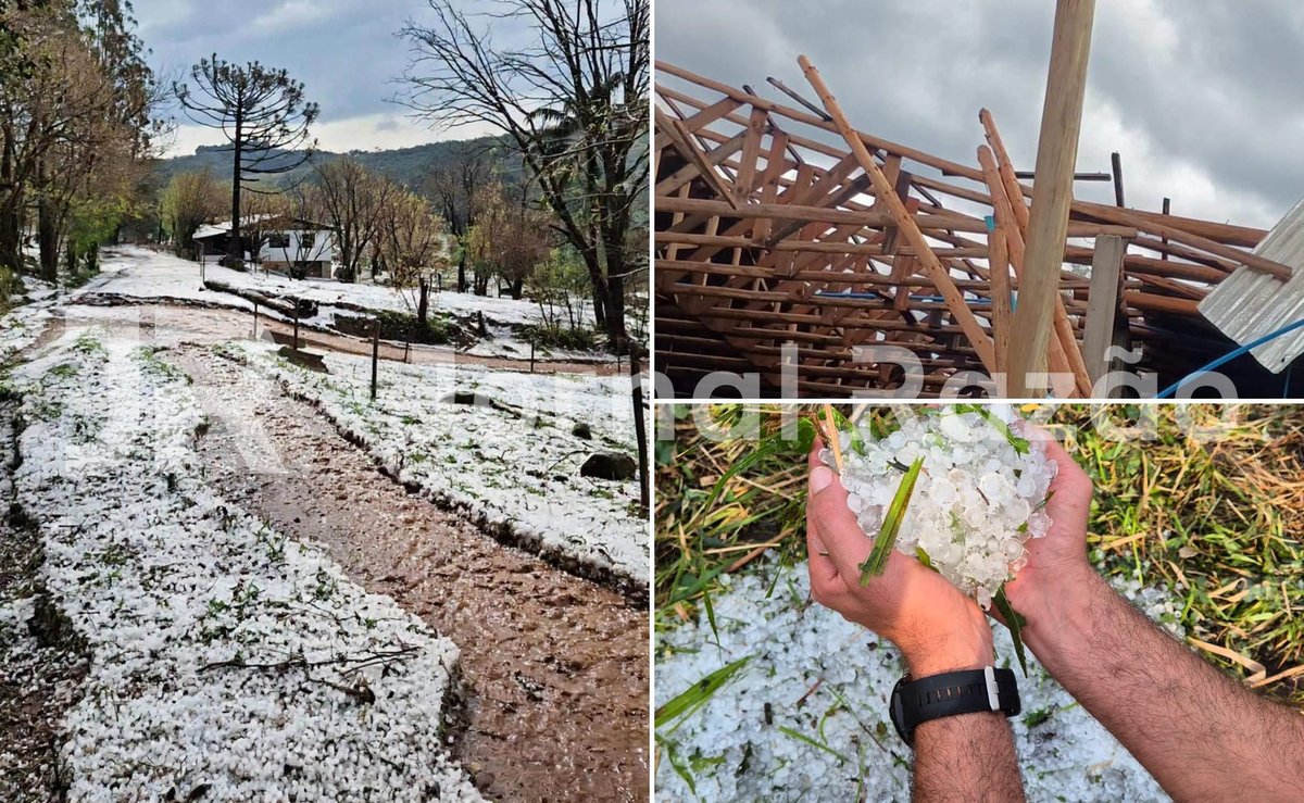 Granizo cobre o chão de branco e vento arranca árvores em três cidades do Oeste de SC