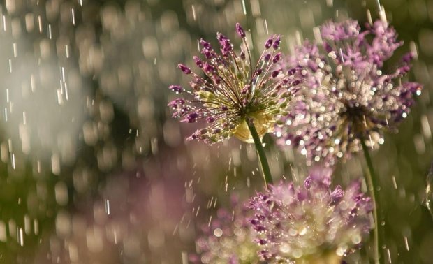 Primavera em SC pode ter temporais e chuva até 200 milímetros acima da média