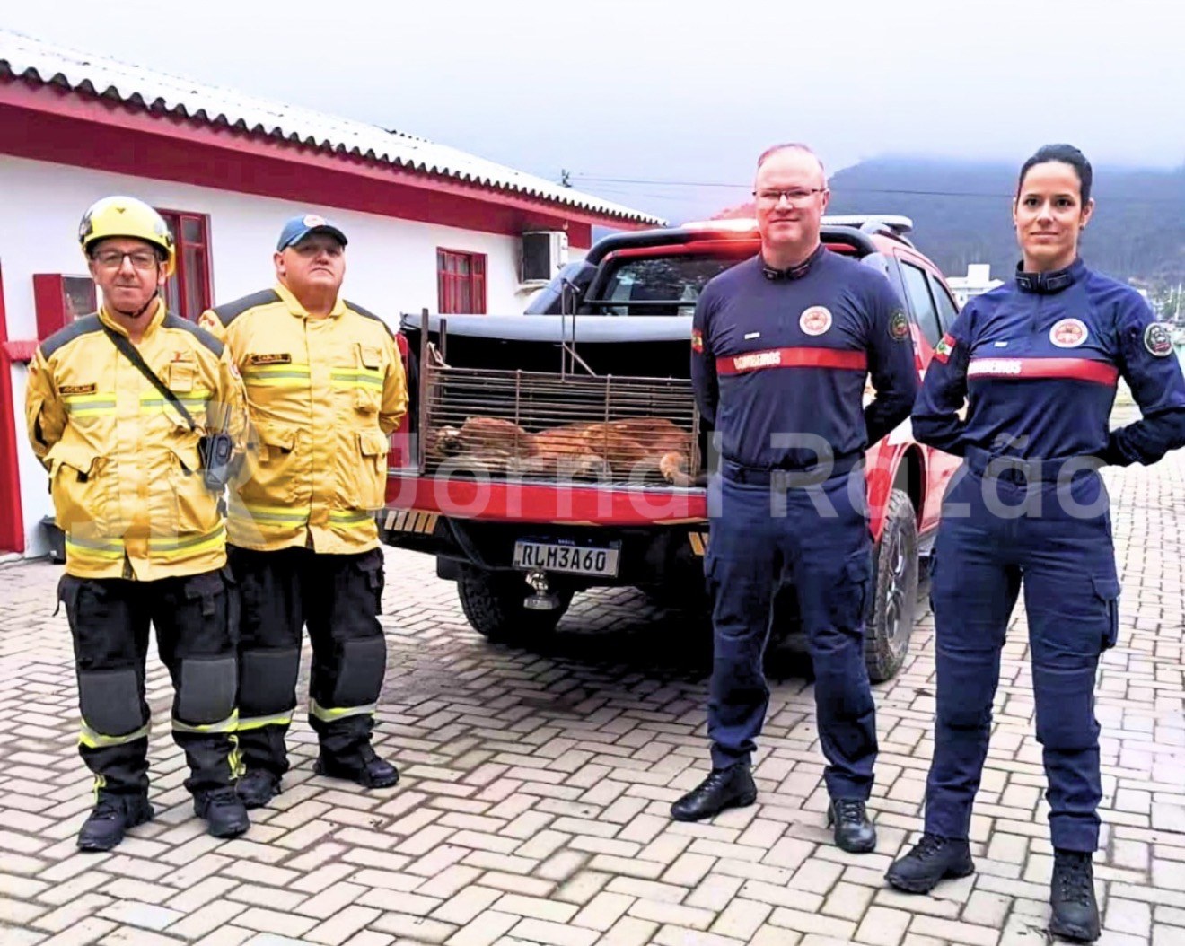 Equipe do Corpo de Bombeiros Militar ao lado da viatura com a gaiola que transportou o leão-baio