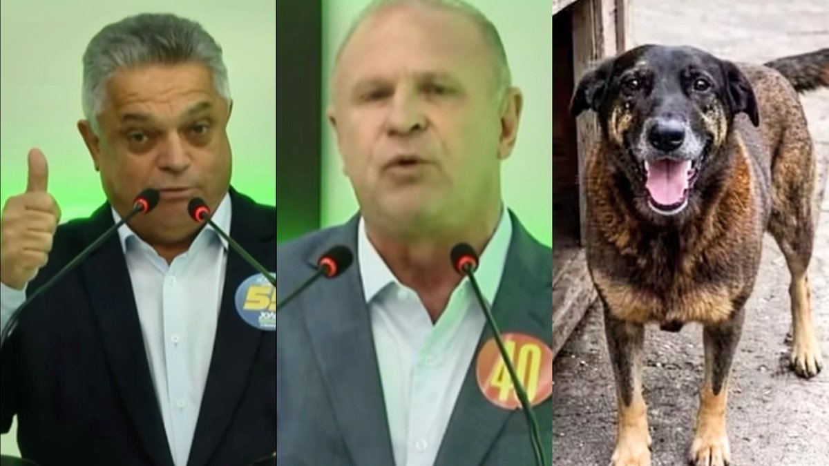 Merisio e João Rodrigues usam Cão Orelha para criticar gestão de Jorginho em debate pelo Governo de SC