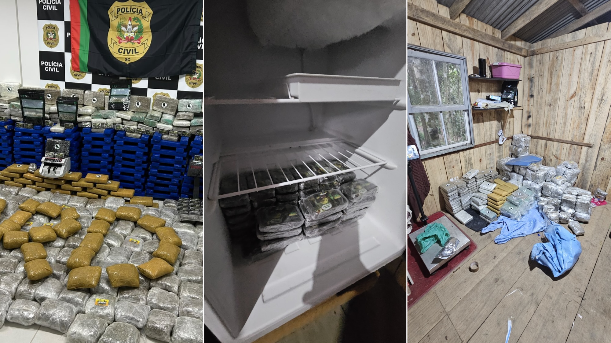 Polícia apreende 635 quilos de drogas em casa de madeira em Biguaçu