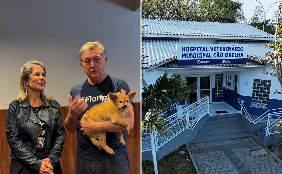 Candidata à prefeitura de Florianópolis propõe expansão de modelo de atendimento veterinário