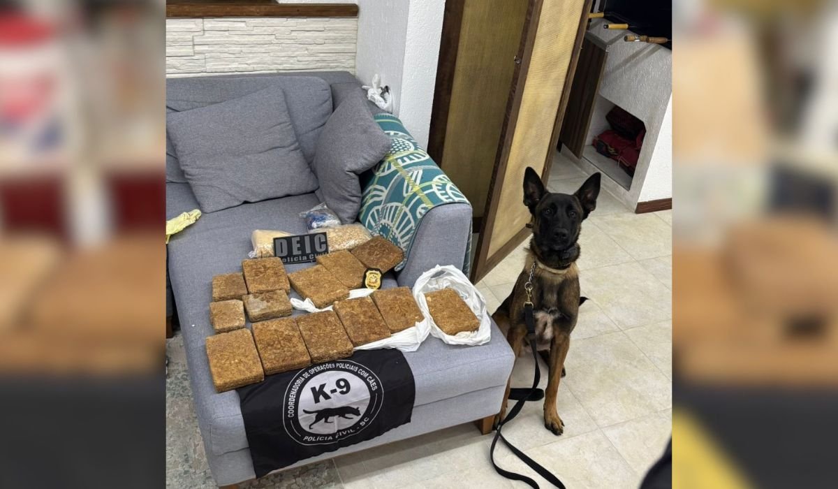 Tabletes de cocaína apreendidos na casa de Jurerê Internacional