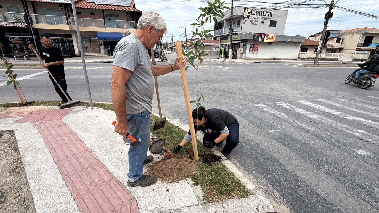 “Cidade das árvores”: Tijucas planta 550 mudas em 8 meses e aposta em ruas floridas e mais verdes