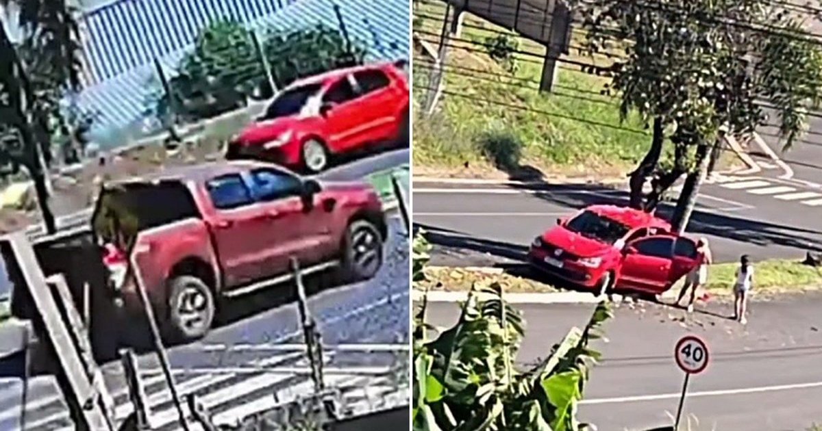 “Não deu conta”: carro não vence subida, desce de ré descontrolado e só para ao bater em árvore em SC - Foto