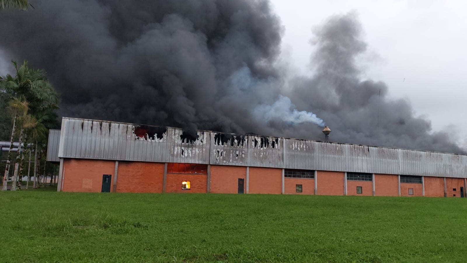 Fogo atinge tecidos e máquinas da Cremer; bombeiros atualizam situação em vídeo