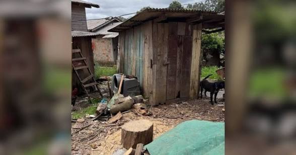 Cães presos por correntes e porcos em espaço fechado são encontrados em Lages