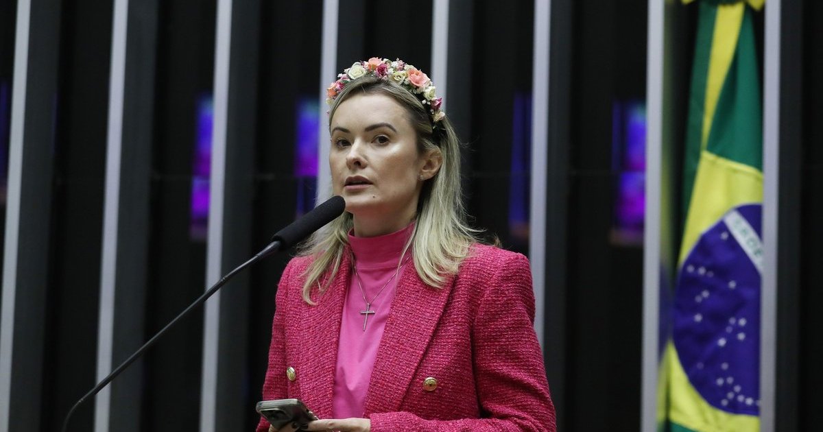 “Tenho respaldo do povo catarinense”, diz Júlia Zanatta após passar de 550 mil votos