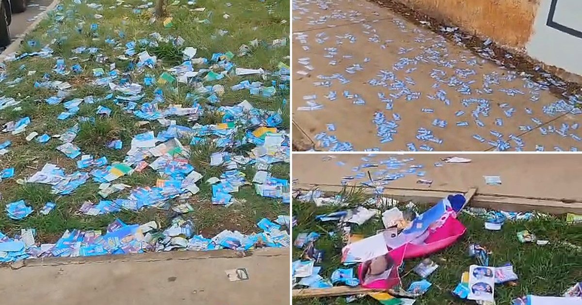 Morador de SC compara Brasília ao ver ruas cobertas de santinhos: “Santa Catarina é um paraíso”