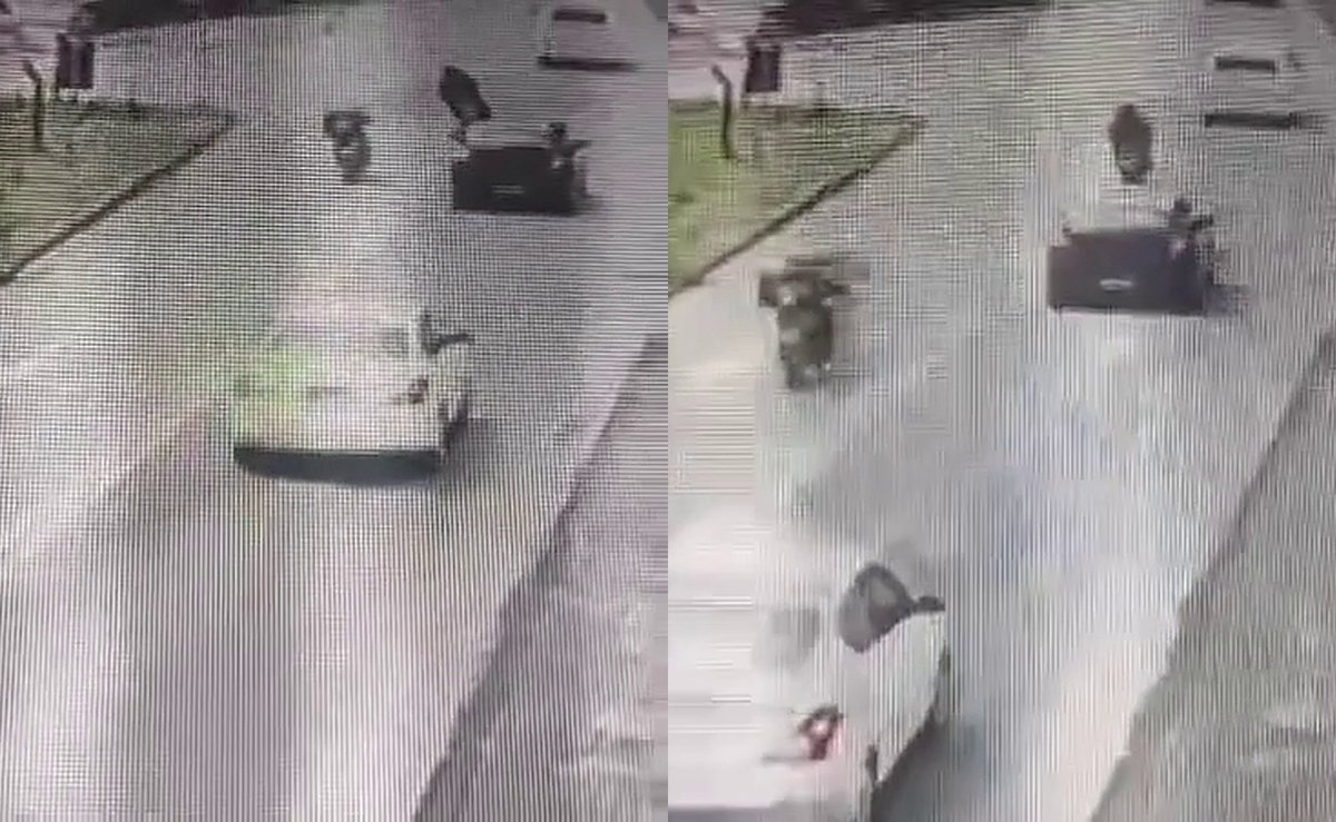 Levava amostras de sangue: motoboy fica em estado gravíssimo após batida entre motos em SC