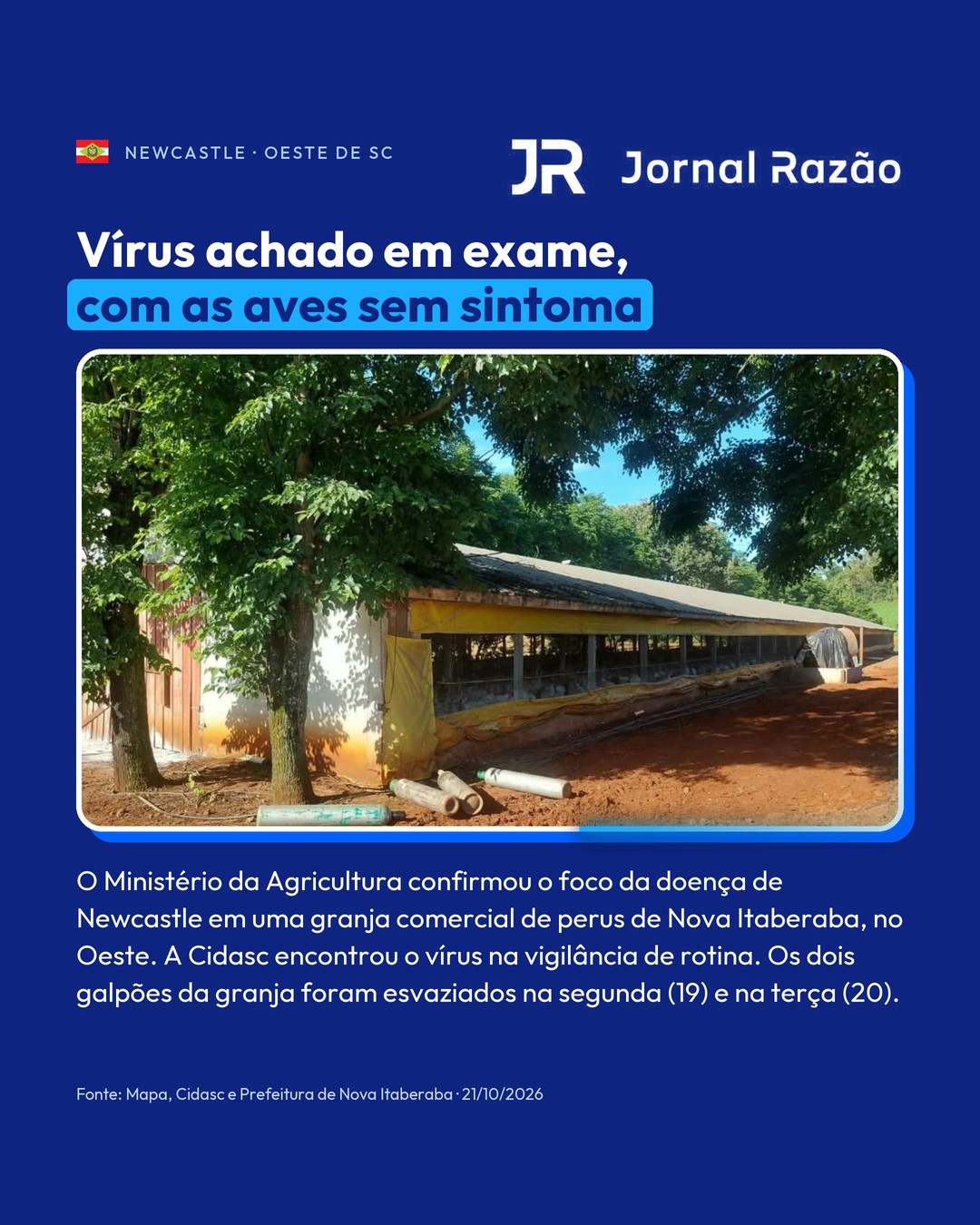 Vírus foi achado em exame de rotina, com as aves sem sintoma