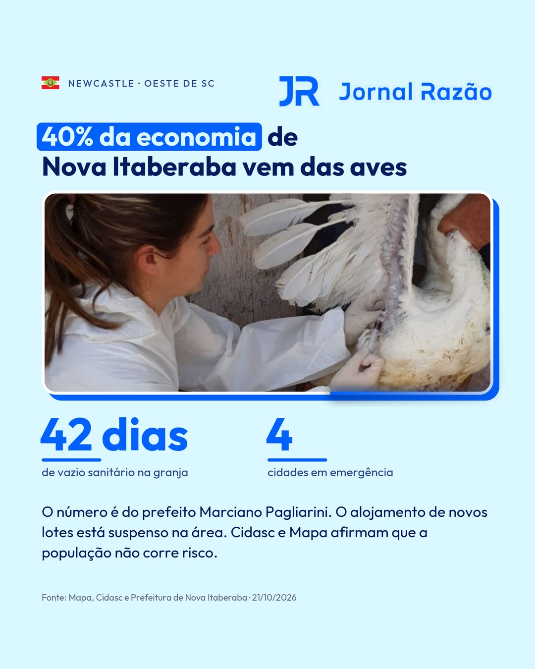 40% da economia de Nova Itaberaba vem das aves