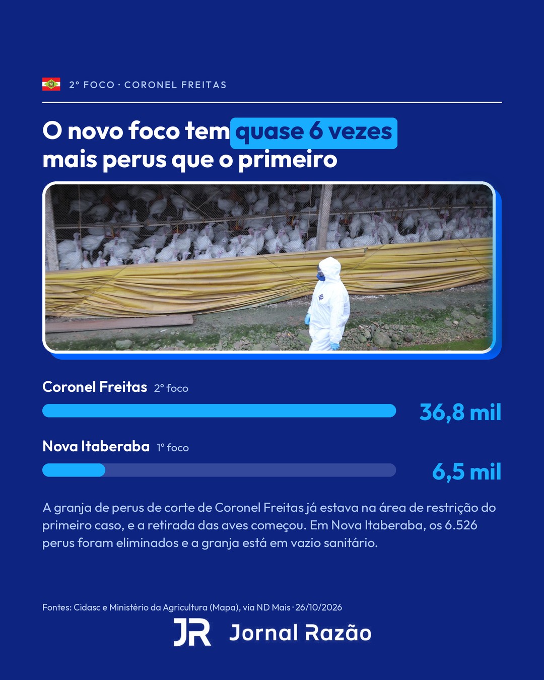 O novo foco, em Coronel Freitas, tem quase seis vezes mais perus que o primeiro